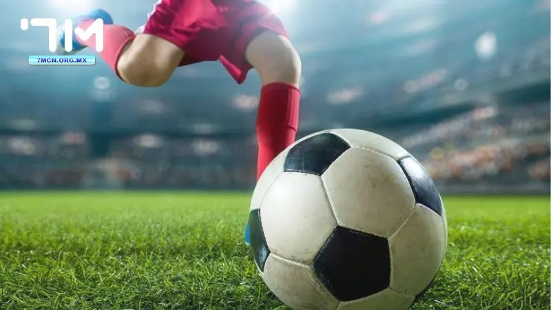 Bạn đã biết cách làm thế nào để đọc các kèo thật chính xác chưa?