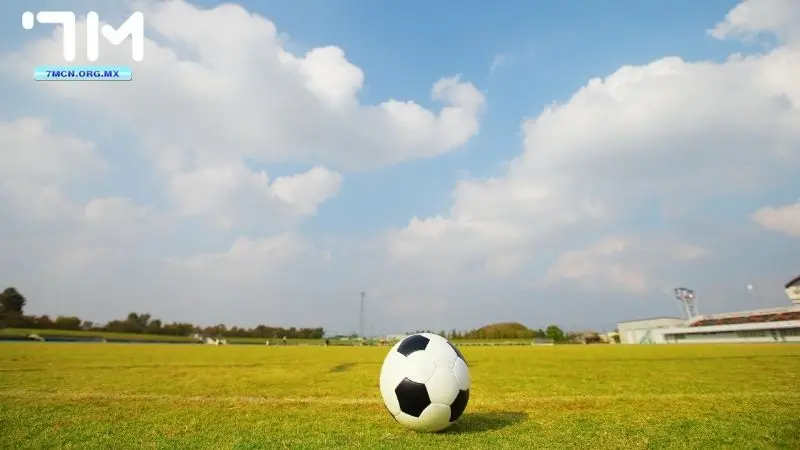 Bí quyết để bạn soi kèo malaysia một cách hiệu quả nhất