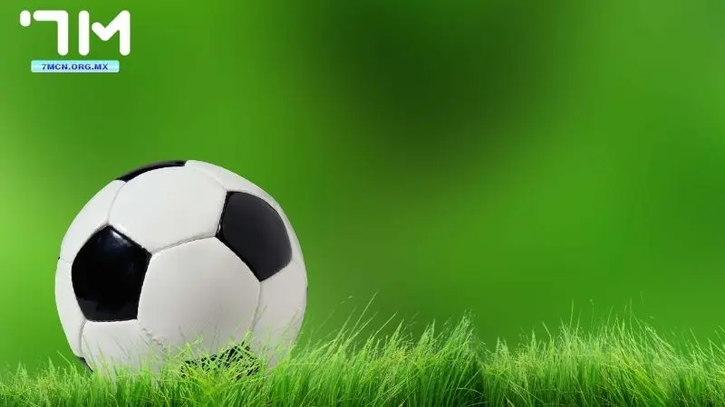 Giới Thiệu Về Cá Cược Bóng Đá Cho Người Mới