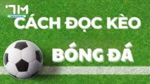 Hướng dẫn chi tiết cách đọc kèo trong bóng đá