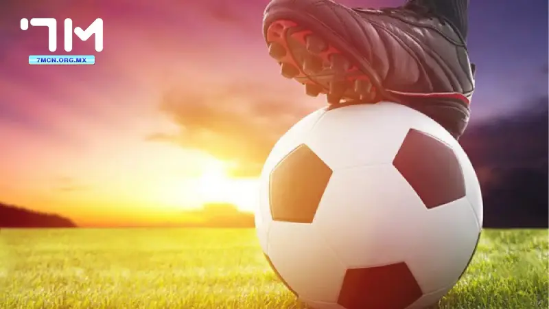 Hướng dẫn đọc kèo châu Âu