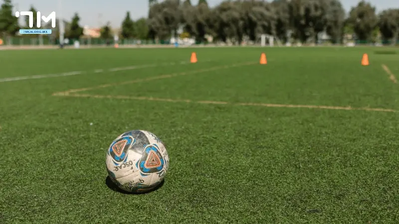 Tìm hiểu nền tảng dành cho dân cá độ bóng đá chuyên nghiệp